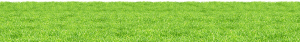 Villa Ramos - Grass