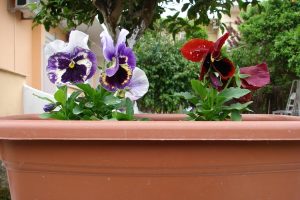 Villa Ramos - Gallery