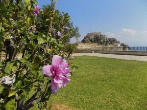 Villa Ramos - Gallery